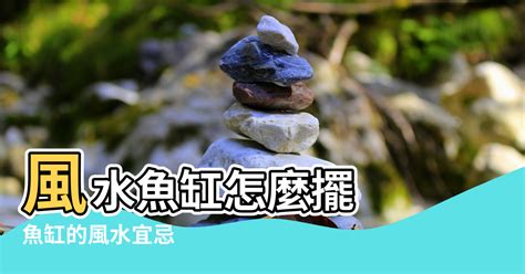 魚缸位子|風水魚缸怎麼擺？這些要點記下來旺財又旺運